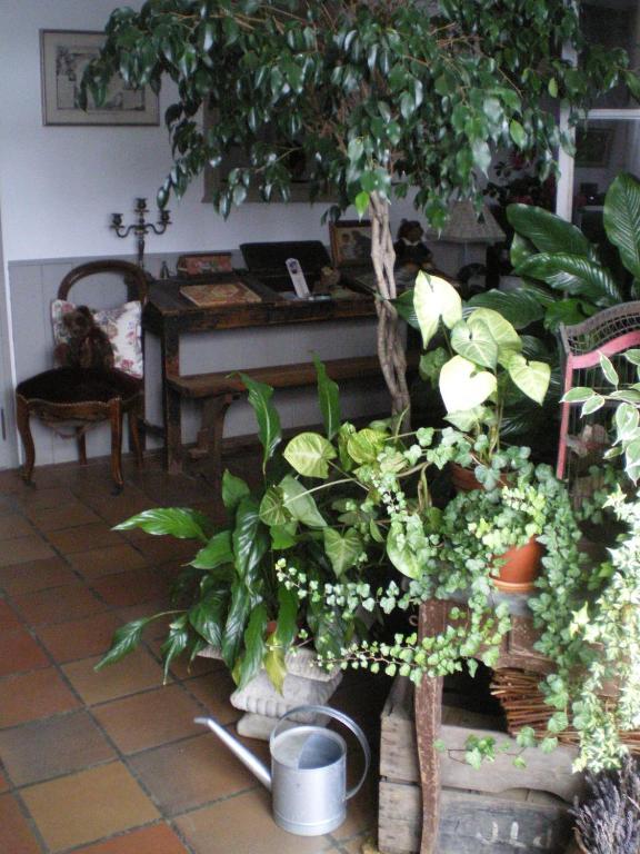 Au Bon Gre D'Hugoline Bed and Breakfast Blanzac  Buitenkant foto